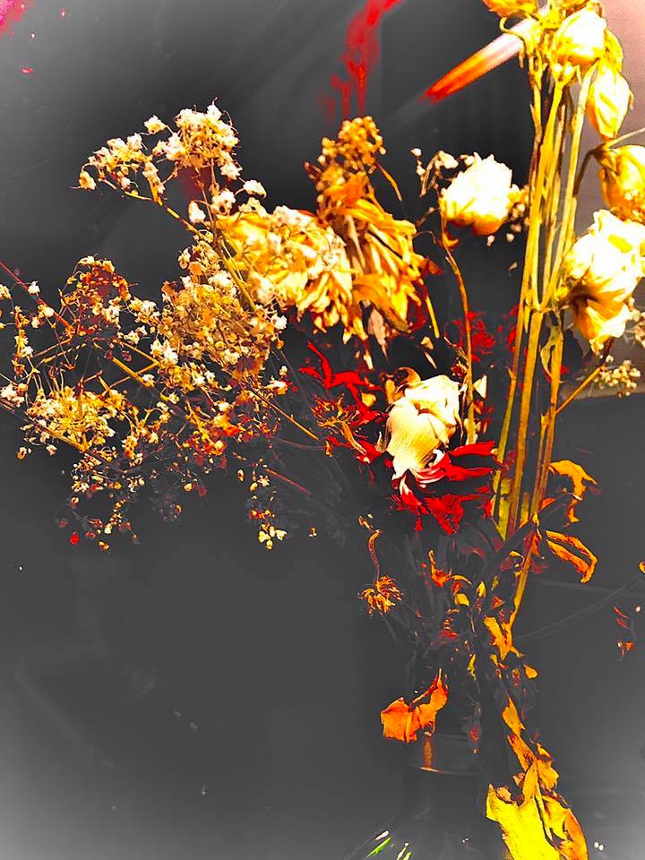 Low fidelity picture of dying flowers against dark background.